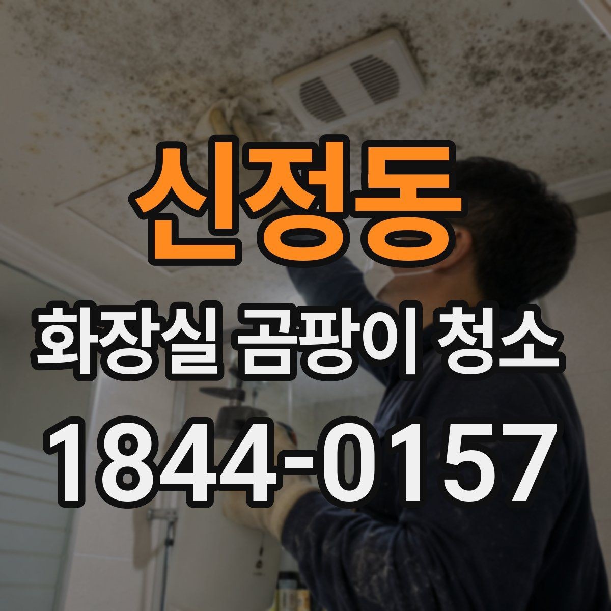 신정동 화장실 곰팡이 청소 얼룩이 반복되는 위치를 살피는 기준