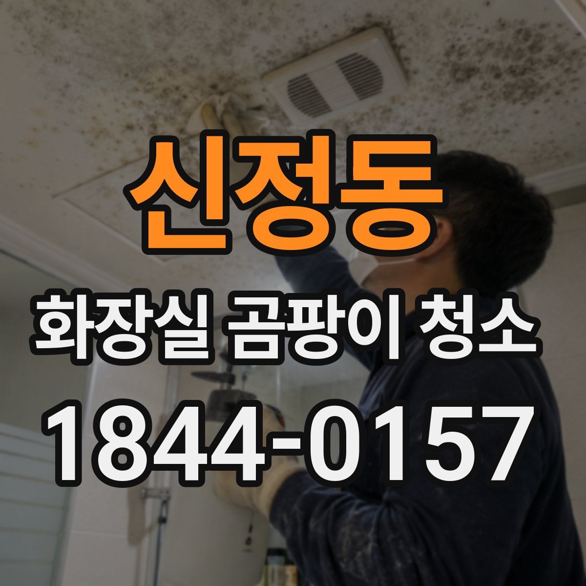 신정동 화장실 곰팡이 청소
