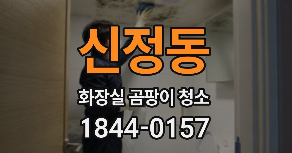 신정동 화장실 곰팡이 청소