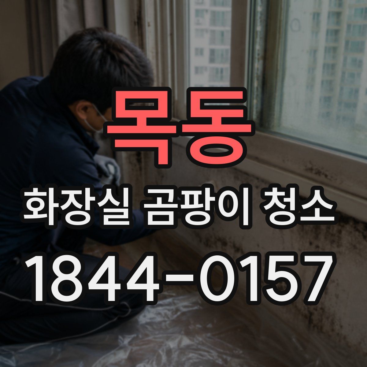 목동 화장실 곰팡이 청소