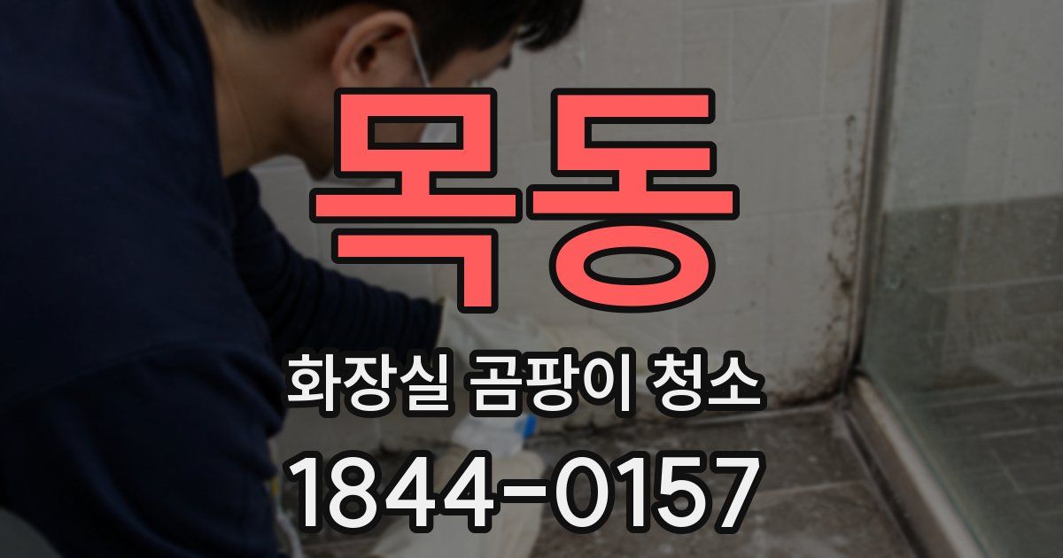 목동 화장실 곰팡이 청소