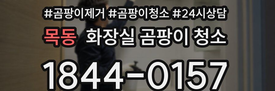 목동 화장실 곰팡이 청소