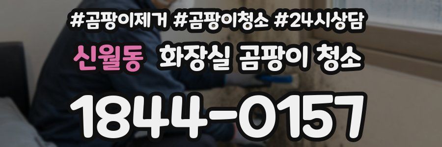 신월동 화장실 곰팡이 청소