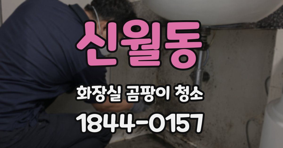 신월동 화장실 곰팡이 청소