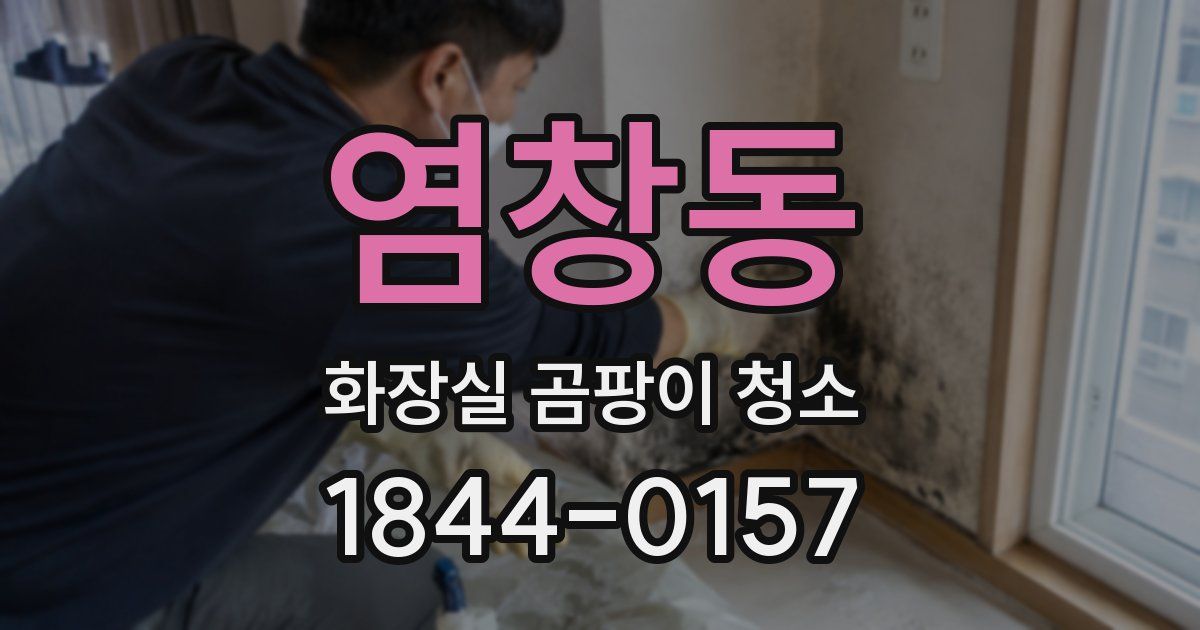 염창동 화장실 곰팡이 청소
