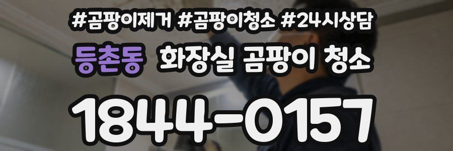 등촌동 화장실 곰팡이 청소