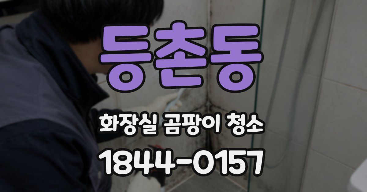 등촌동 화장실 곰팡이 청소