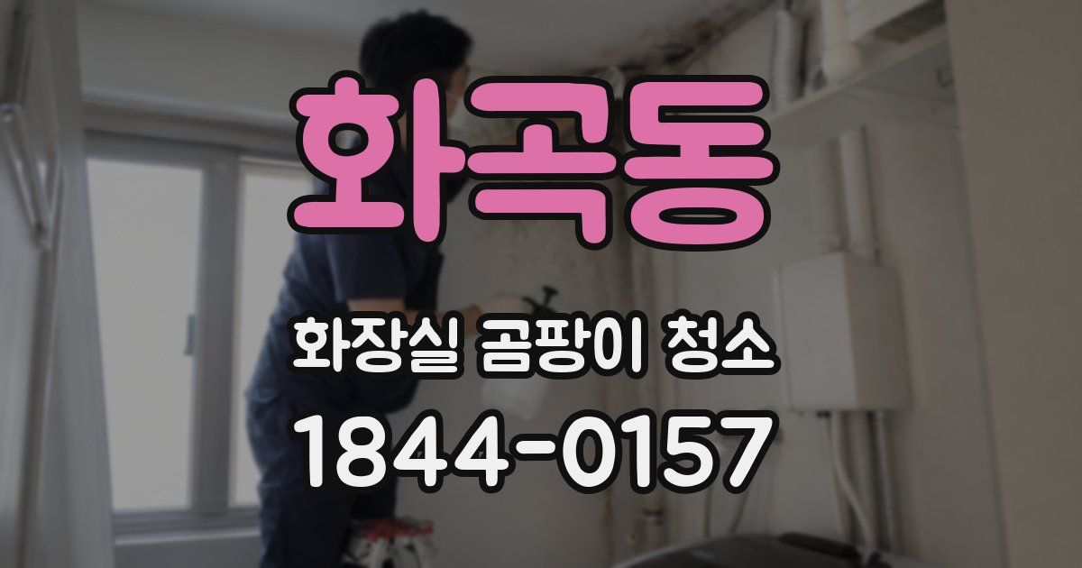 화곡동 화장실 곰팡이 청소