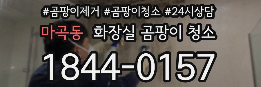 마곡동 화장실 곰팡이 청소