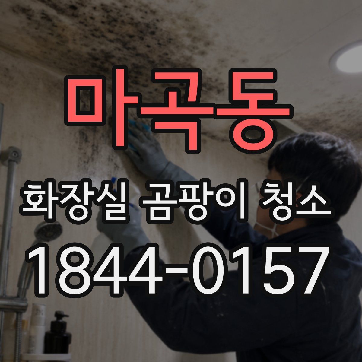 마곡동 화장실 곰팡이 청소