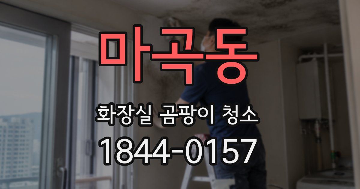 마곡동 화장실 곰팡이 청소