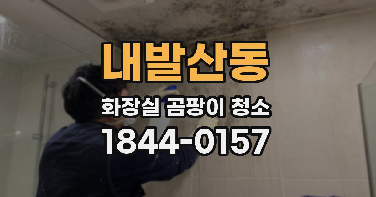 내발산동 화장실 곰팡이 청소