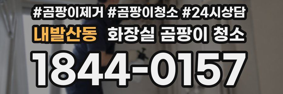 내발산동 화장실 곰팡이 청소
