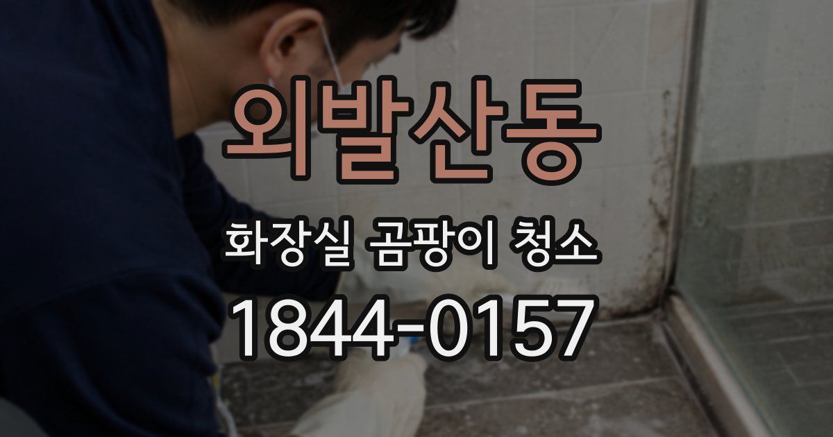 외발산동 화장실 곰팡이 청소