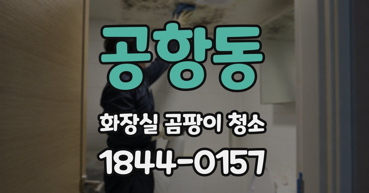 공항동 화장실 곰팡이 청소