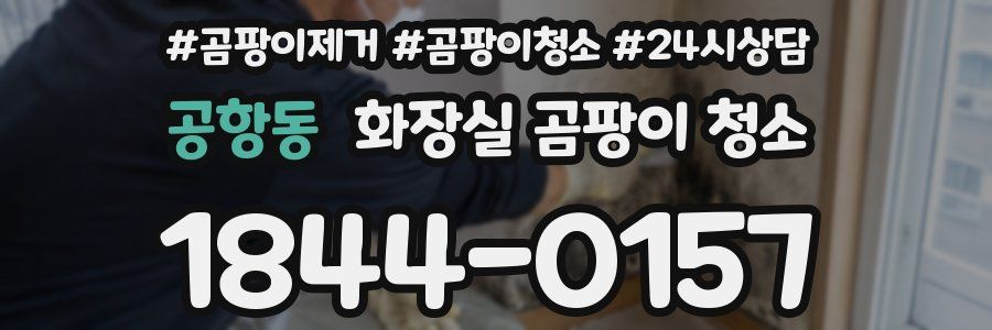 공항동 화장실 곰팡이 청소