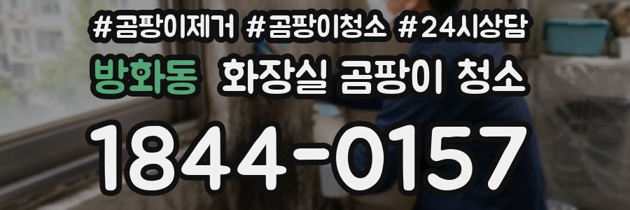 방화동 화장실 곰팡이 청소