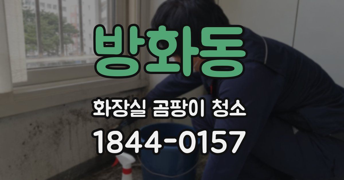 방화동 화장실 곰팡이 청소