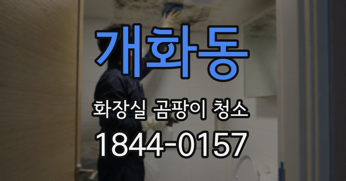 개화동 화장실 곰팡이 청소