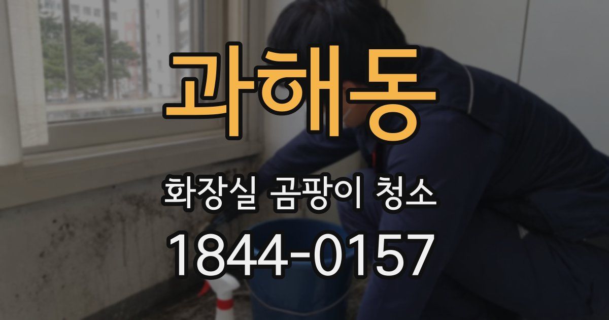 과해동 화장실 곰팡이 청소