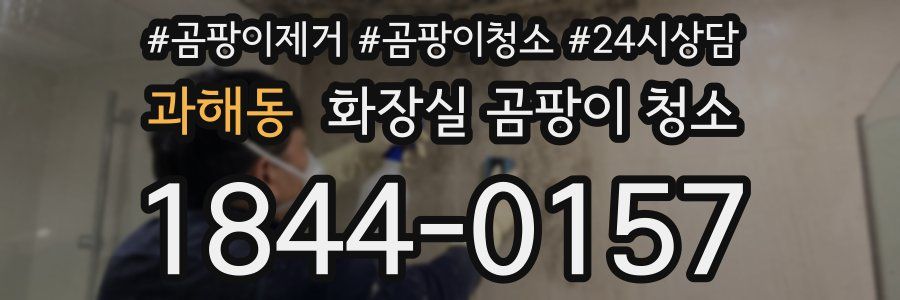 과해동 화장실 곰팡이 청소