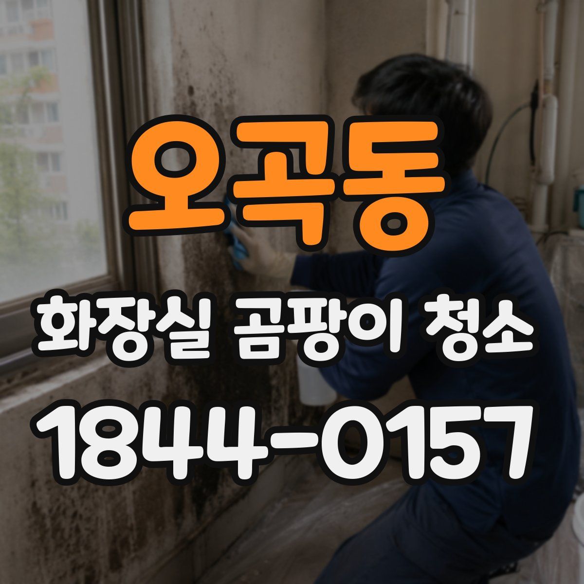 오곡동 화장실 곰팡이 청소