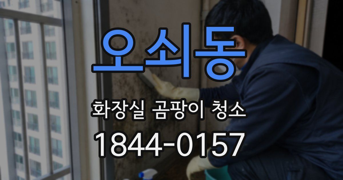 오쇠동 화장실 곰팡이 청소