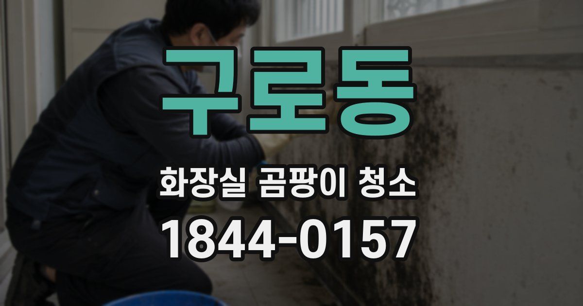 구로동 화장실 곰팡이 청소