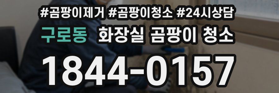 구로동 화장실 곰팡이 청소