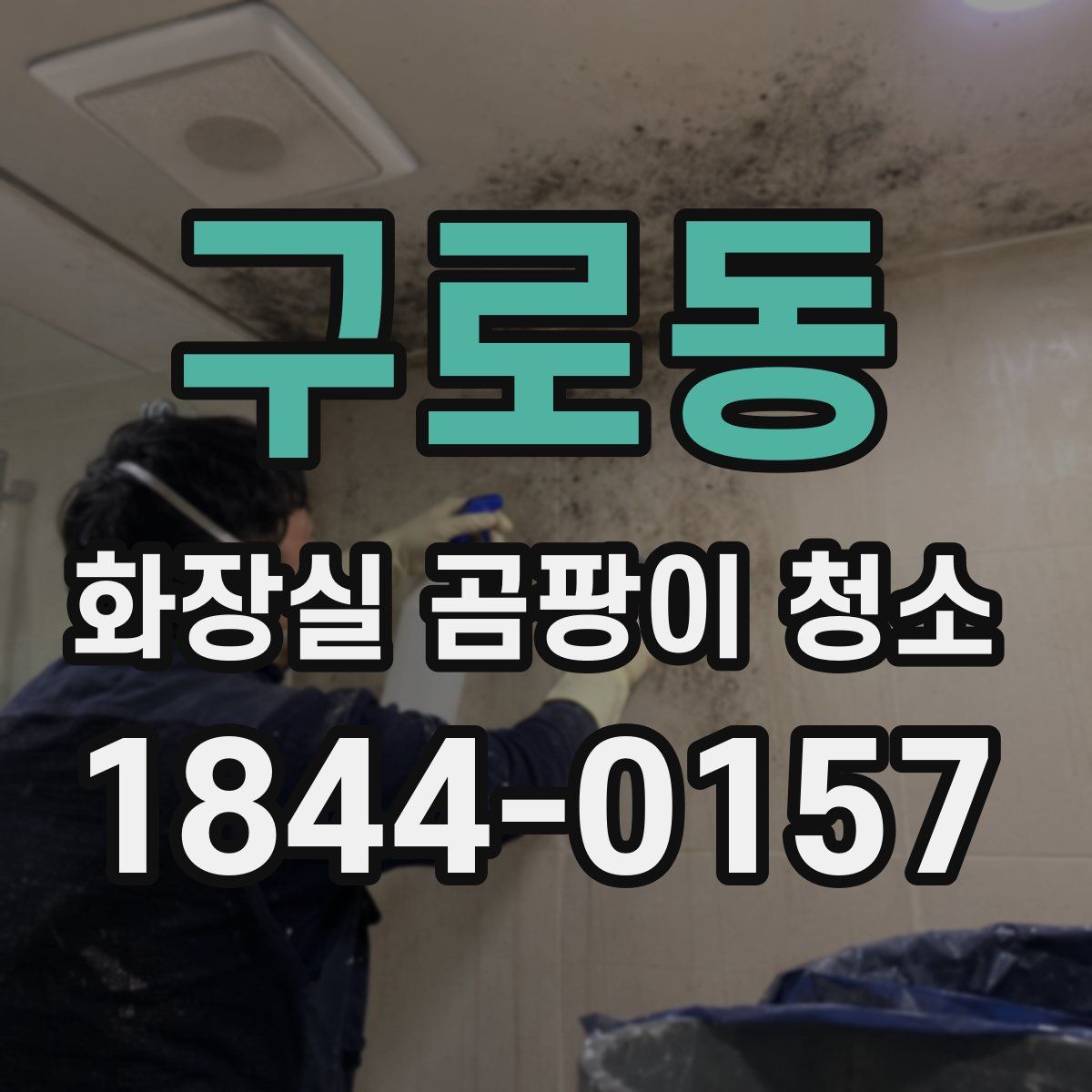 구로동 화장실 곰팡이 청소