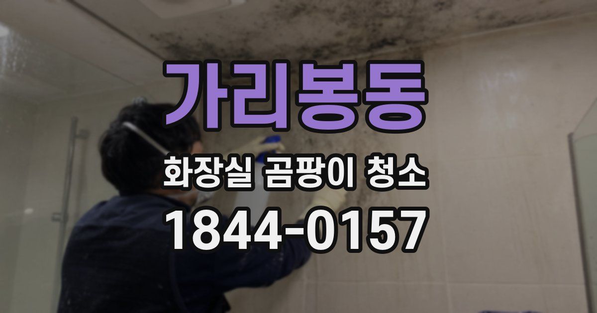 가리봉동 화장실 곰팡이 청소