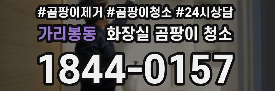 가리봉동 화장실 곰팡이 청소