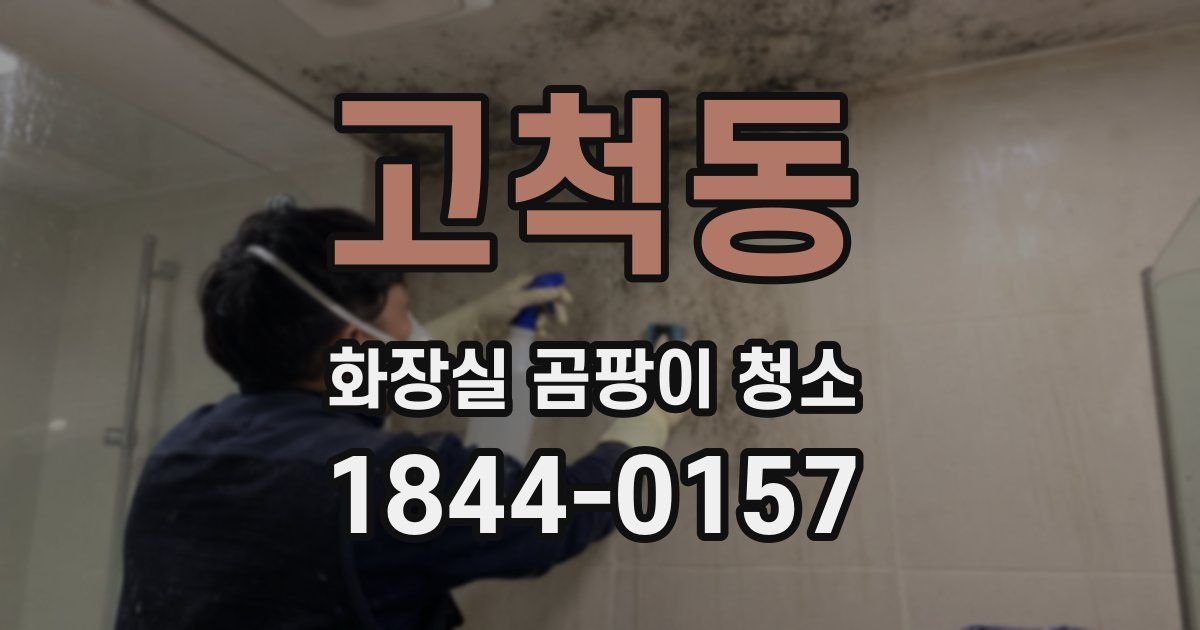 고척동 화장실 곰팡이 청소