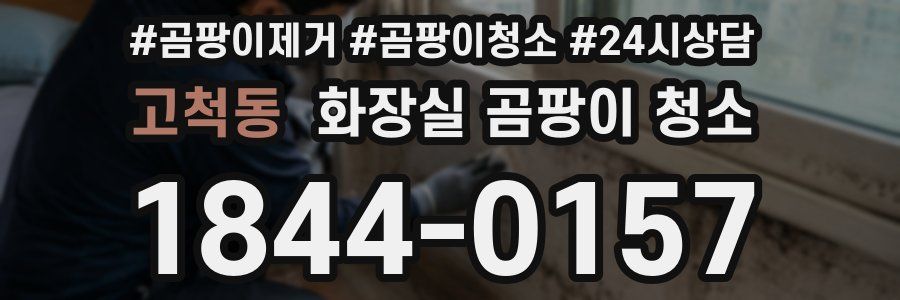 고척동 화장실 곰팡이 청소