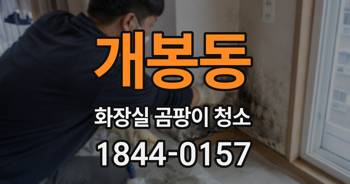 개봉동 화장실 곰팡이 청소