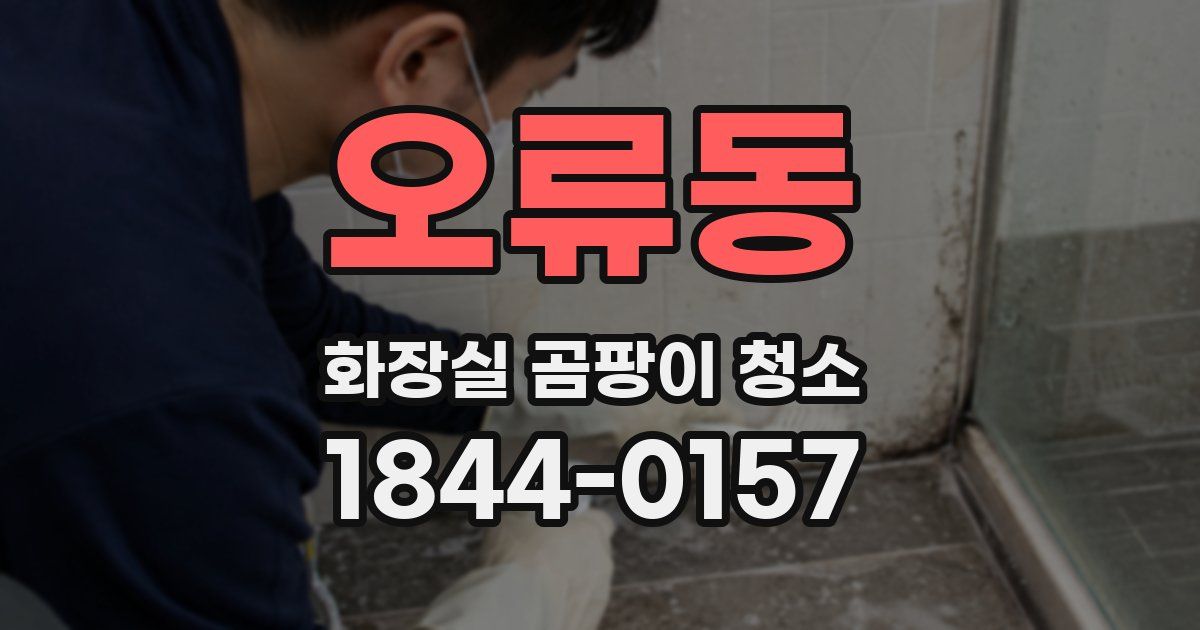 오류동 화장실 곰팡이 청소