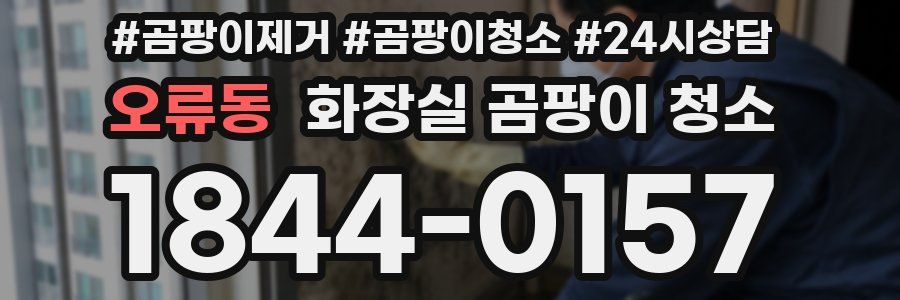 오류동 화장실 곰팡이 청소