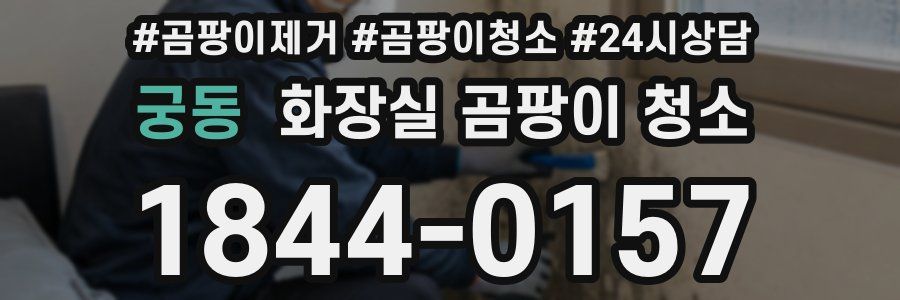 궁동 화장실 곰팡이 청소