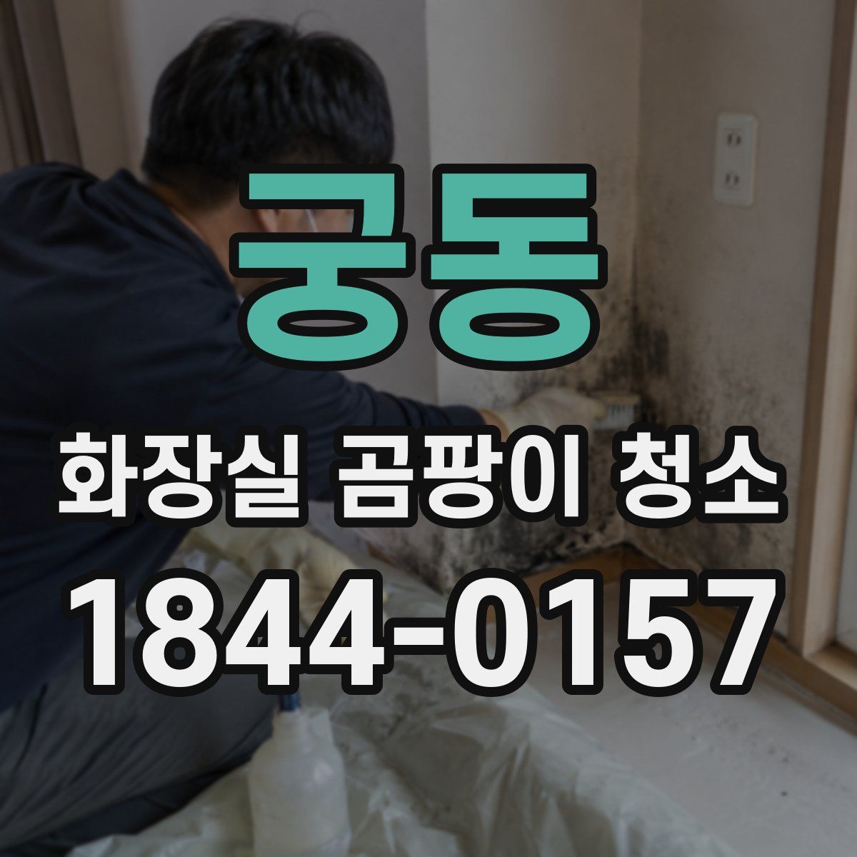 궁동 화장실 곰팡이 청소