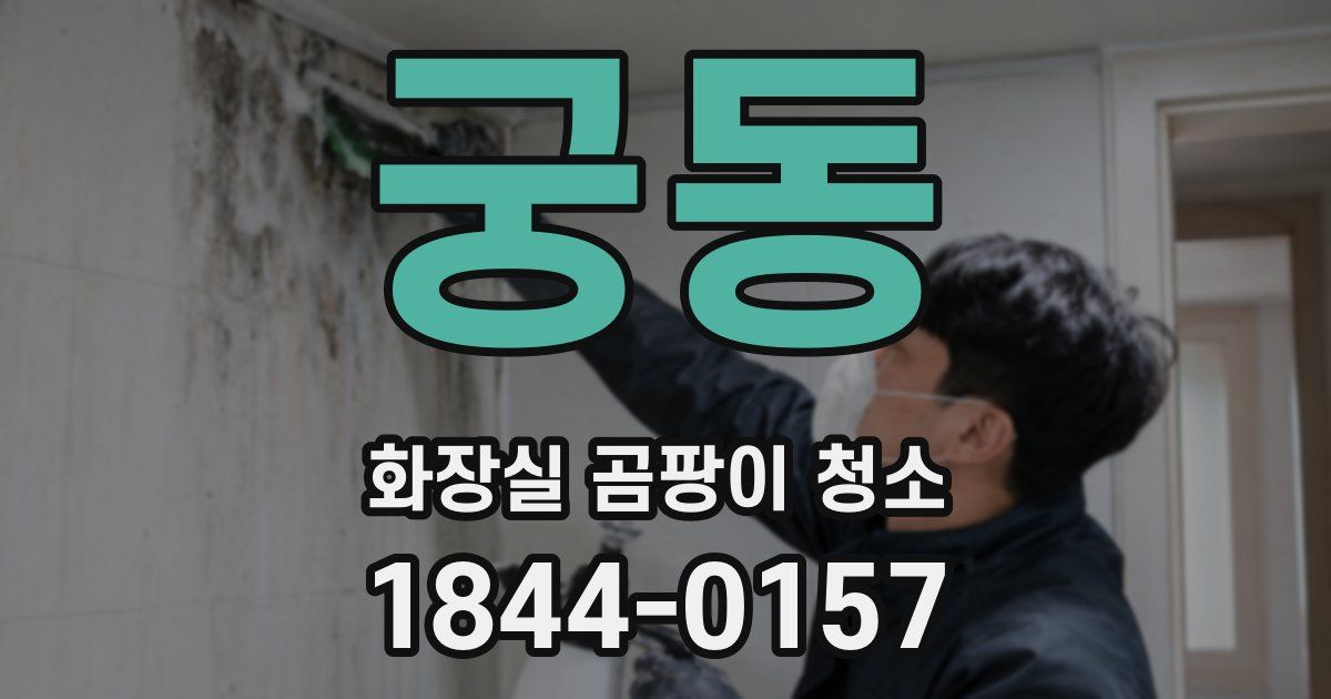 궁동 화장실 곰팡이 청소