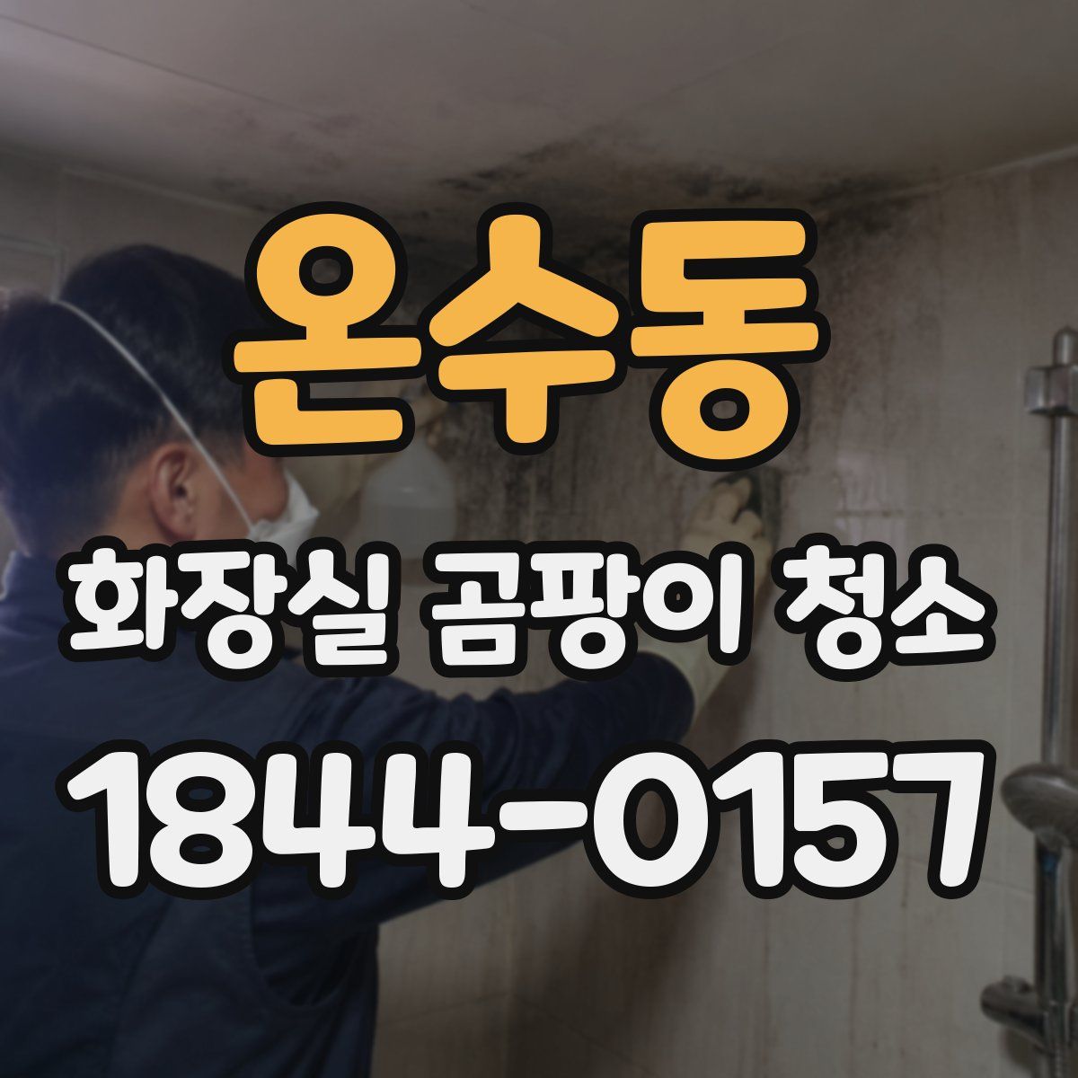 온수동 화장실 곰팡이 청소