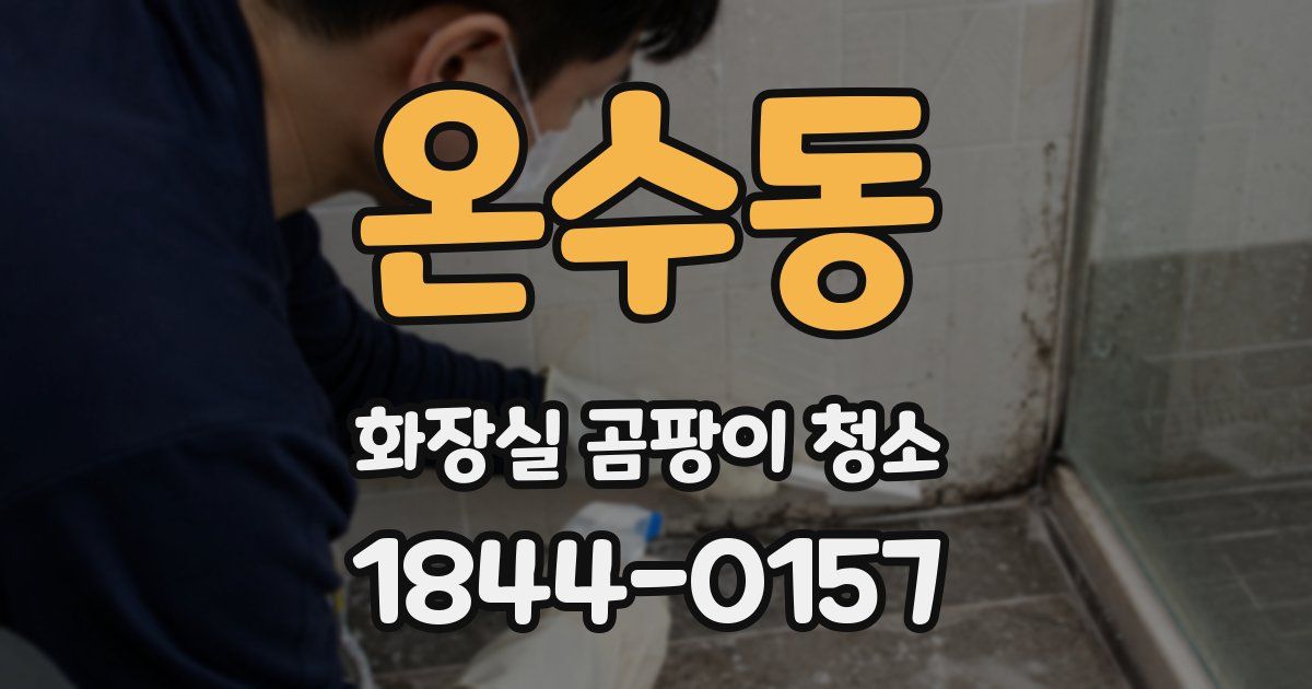 온수동 화장실 곰팡이 청소