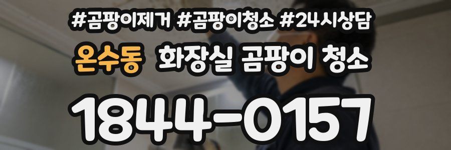 온수동 화장실 곰팡이 청소