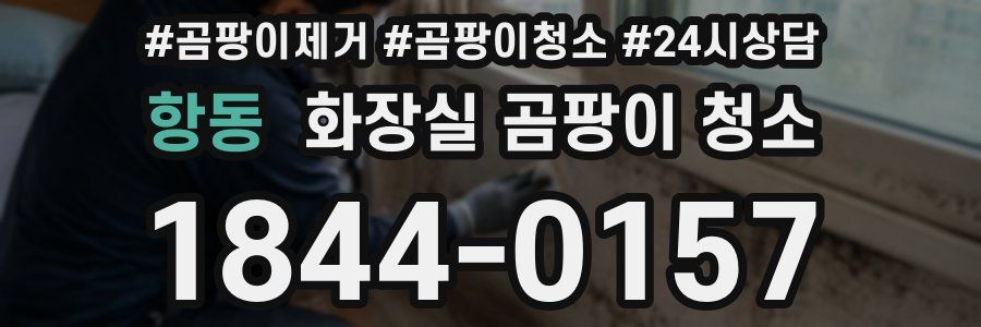 항동 화장실 곰팡이 청소