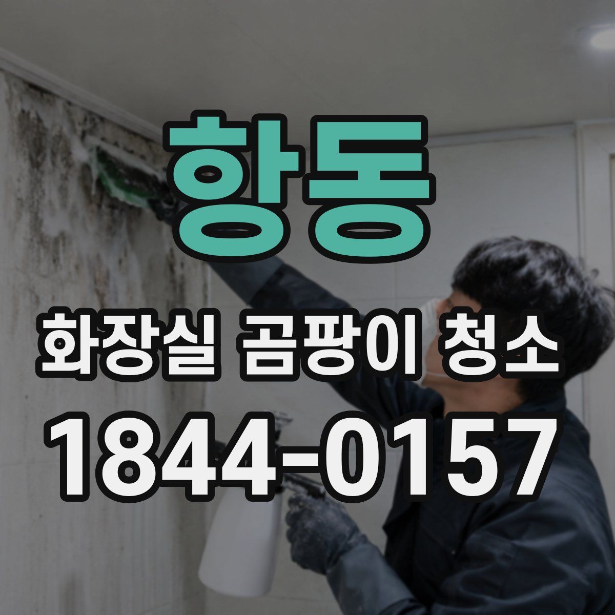항동 화장실 곰팡이 청소