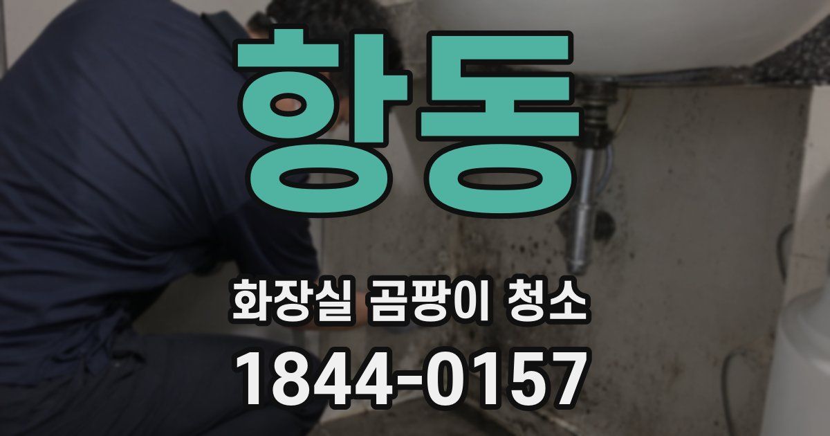 항동 화장실 곰팡이 청소