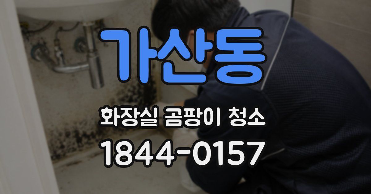가산동 화장실 곰팡이 청소