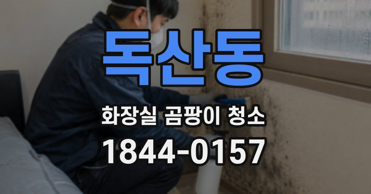 독산동 화장실 곰팡이 청소