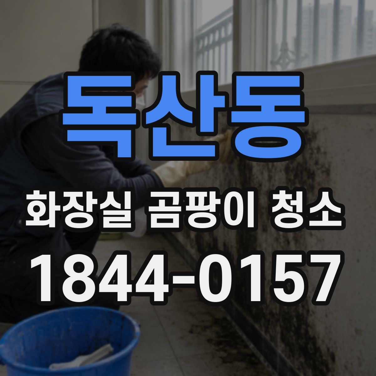 독산동 화장실 곰팡이 청소