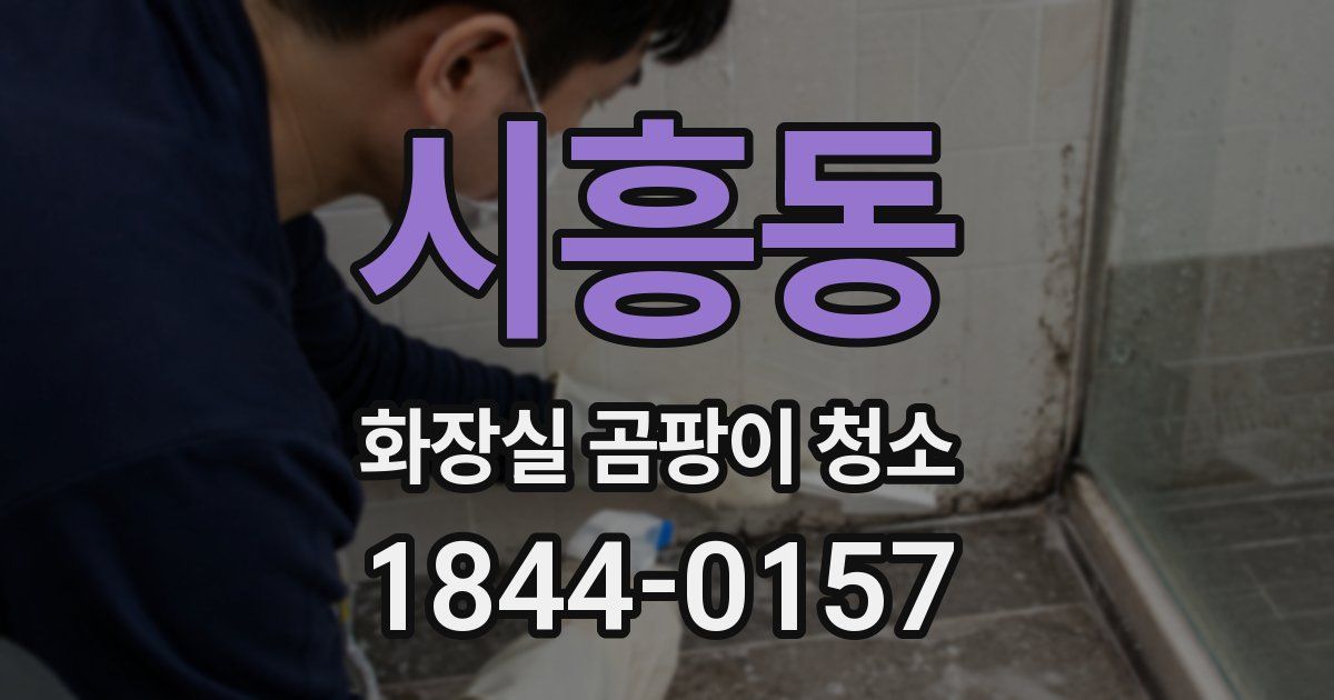 시흥동 화장실 곰팡이 청소